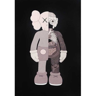 Ковер Kaws Dissected Companion Розовый Прямоугольный