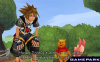 Kingdom Hearts II (PS2)