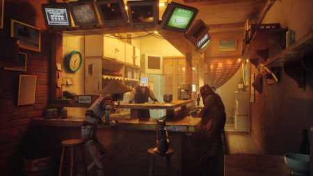 Stray (PS5)