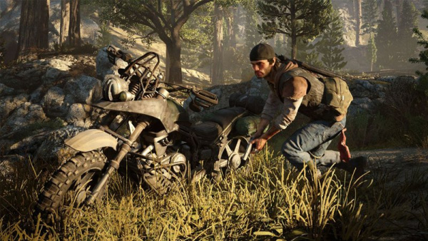 Days Gone (Жизнь после) (PS4)