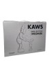 KAWS THE PROMISE Вінілова фігурка Коричнева (34см)