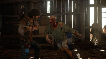 Days Gone (Жизнь после). Special Edition (PS4)
