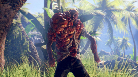 Dead Island Definitive Edition Slaughter pack, Коллекционное издание  (PS4)
