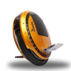 Моноколесо E-SCOOTER W5