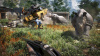 Far Cry 4 Специальное издание (XboxOne)
