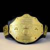 Пояс чемпіона WWE World Heavyweight Wrestling (125 см)