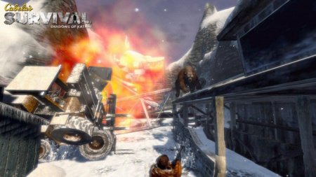 Cabela's Survial: Shadows of Katmai (с поддержкой PS Move) (PS3)