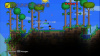 Terraria (PS4)