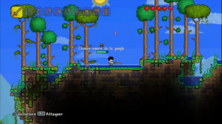 Terraria (PS4)
