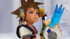 Kingdom Hearts HD 1.5 ReMIX Limited Edition (PS3)
