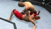 UFC 2010 Undisputed (PSP)