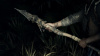 Hunt: Showdown Стандартное издание (PS4)