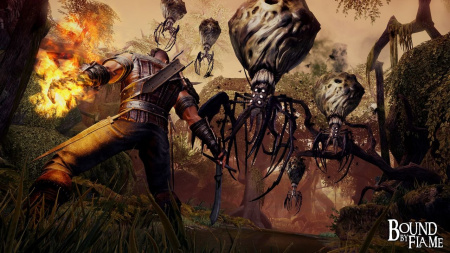 Bound by Flame (Xbox360)