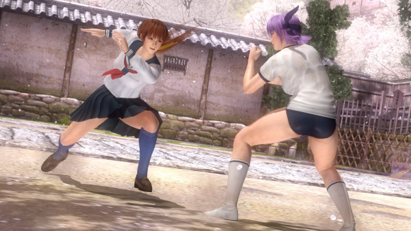 Dead or Alive 5 Plus (PS Vita)