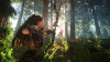 Horizon: Zero Dawn (PS4)