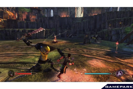 Чародей (PS3)