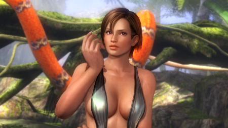Dead or Alive 5 Plus (PS Vita)