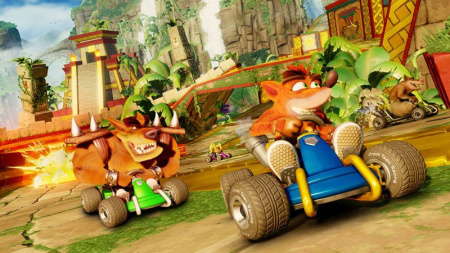 Crash Team Racing: Nitro-Fueled (PS4)