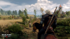 Ведьмак 3: Дикая охота Коллекционное издание (Xbox One)
