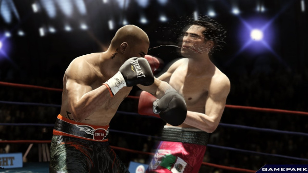Fight Night Champion (PS3)