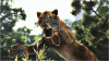 Cabela's Dangerous Hunts 2013 PS move (PS3)