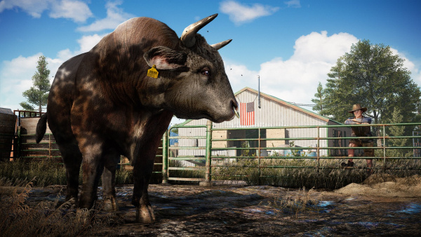 Far Cry 5. Стандартное Издание (PS4)