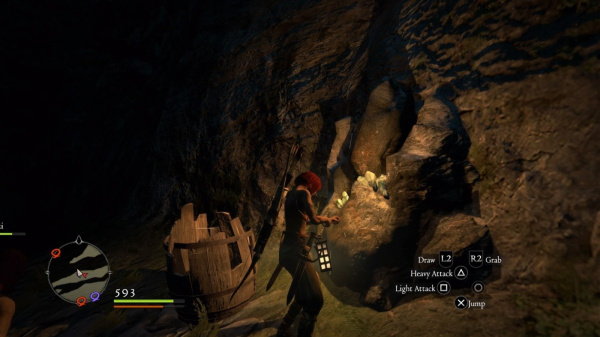 Dragon's Dogma: Dark Arisen (PS4)