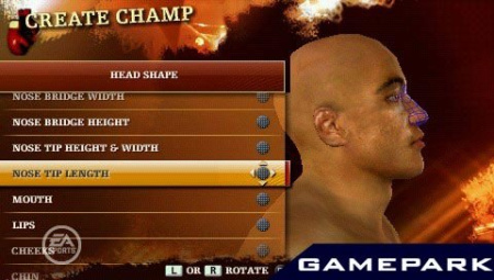 Fight Nigth Round 3 (PSP)