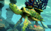 Disney Fantasia: Music Evolved (Xbox One)