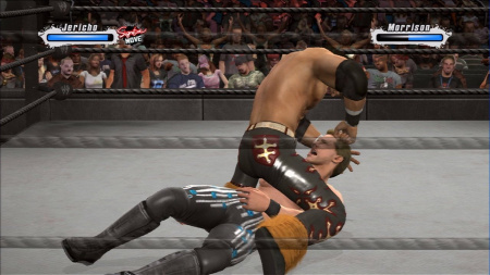 WWE SmackDown! vs. RAW 2009 (PS3)