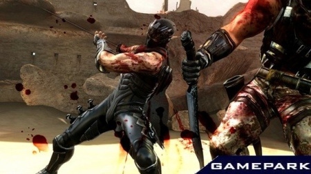 Ninja Gaiden 3 Collector's Edition (Xbox 360)