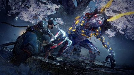 Nioh 2. Специальное издание (PS4)