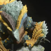 Фігурка Monster Hunter World CFB Thunder Wolf Dragon (17см)