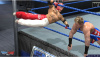 WWE Smackdown vs. Raw 2011 (PSP)