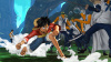 One Piece Pirate Warriors (PS3)