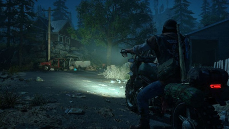 Days Gone (Жизнь после). Special Edition (PS4)