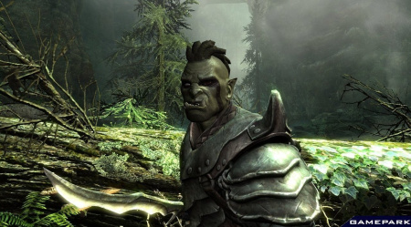 Elder Scrolls V: Skyrim Premium Edition    (Xbox 360)