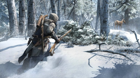 Assassin's Creed 3 Специальное Издание (PS3)