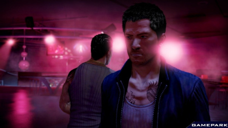 Sleeping Dogs. Limited Edition. Русские субтитры (PS3)