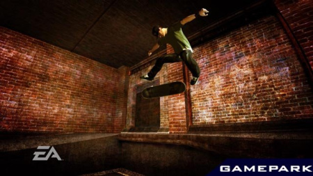 Skate (PS3)