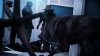 Werewolf: The Apocalypse – Earthblood (PS4)