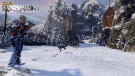 Cabela's Survial: Shadows of Katmai (с поддержкой PS Move) (PS3)