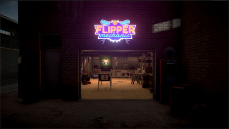 Flipper Mechanic (PS5)
