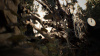 Resident Evil 7: Biohazard (XboxOne)