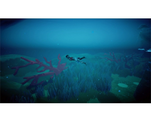 RiME + Artbook (Nintendo Switch)