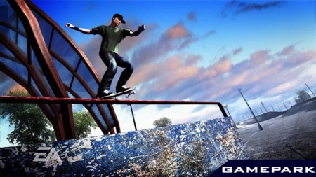 Skate (PS3)