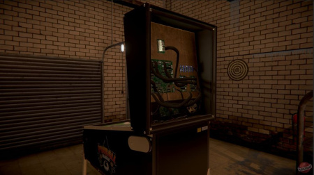 Flipper Mechanic (PS5)