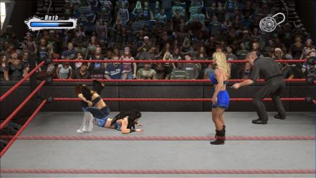 WWE SmackDown! vs. RAW 2009 (PS3)