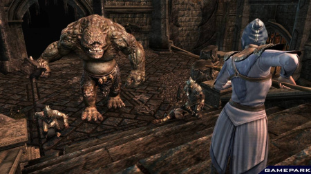 Властелин Колец: Война на Севере (PS3)