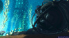 Bioshock 2 (PS3)